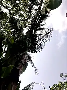 leona118 online show from April 11, 7:45 am