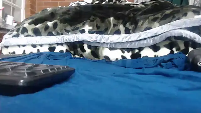 Nellybba online show from March 30, 8:30 pm