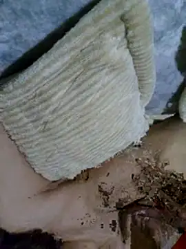 xmarianax online show from February 17, 10:09 pm