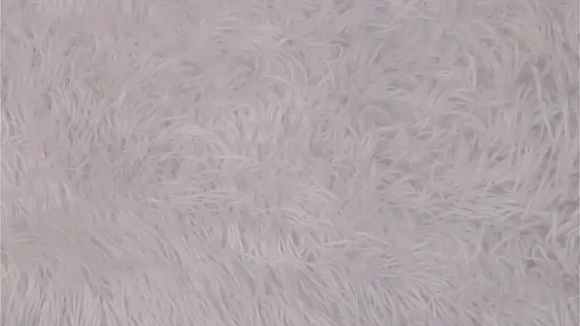 NakeshaPogar online show from February 24, 7:07 am