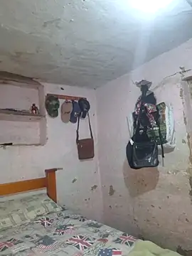 Daniela Cruz  online show from February 12, 11:17 pm