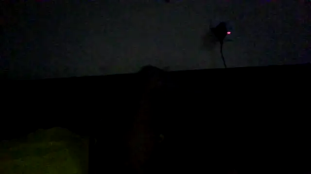 kelebogi online show from April 6, 3:50 am