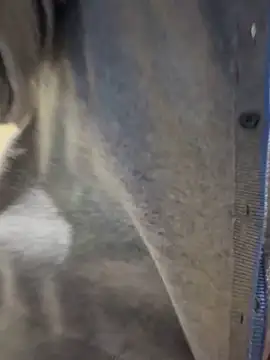 LXR77887 online show from April 13, 10:49 am