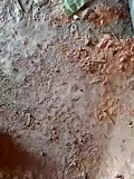 Hot kiran4 online show from February 16, 8:03 am