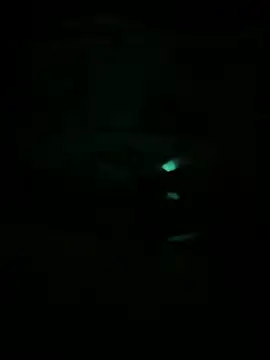 jdeli online show from July 15, 2:16 am