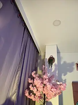 soffia 7 online show from March 29, 12:09 am