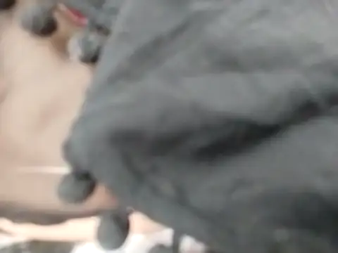 VeraVS online show from February 20, 9:22 am