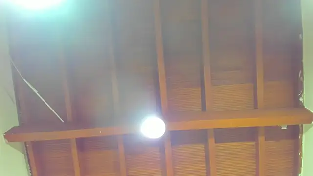 alice conte online show from March 19, 6:56 pm