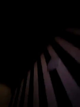 BITOFSIN online show from February 19, 10:19 pm