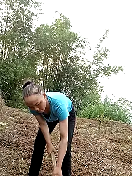 elen8800 online show from April 4, 9:41 am