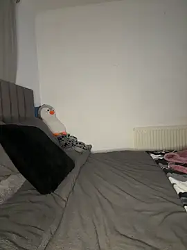 Cookieex online show from March 18, 8:03 pm