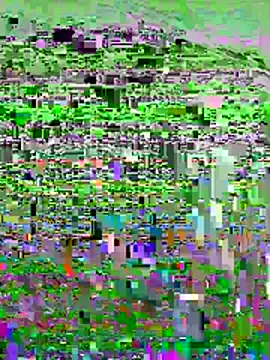 E-ll-A01 online show from March 3, 12:44 pm