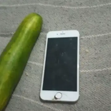 puta casada online show from March 6, 3:56 am