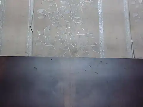 kAVYA 05 online show from March 14, 12:11 am