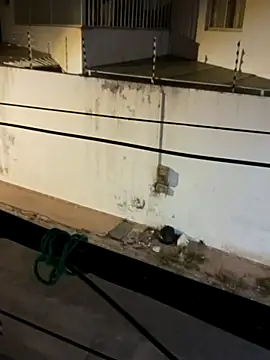 bumbum   guloso online show from March 23, 12:28 am