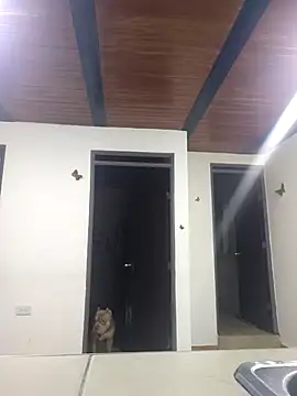 yvonne 1998 online show from April 15, 10:10 pm