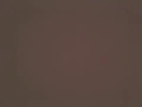 VivaLu online show from April 17, 2:08 pm