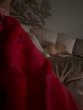 lajokerx online show from April 15, 9:59 pm