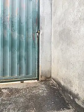 Showwspordezreais online show from April 23, 5:26 pm