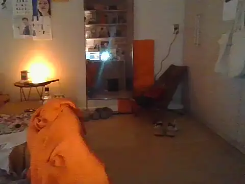 plsmecha online show from July 11, 9:59 pm
