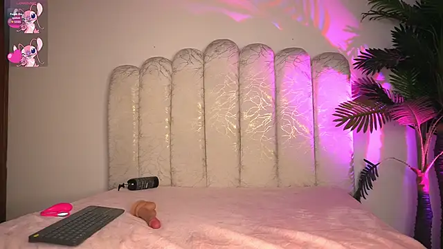 Noaah 0814 online show from June 6, 7:20 pm