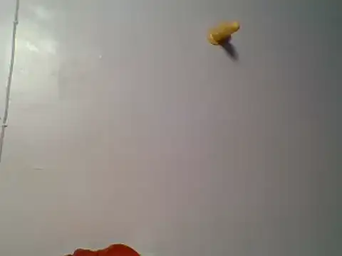 kittydew online show from June 17, 2:57 am