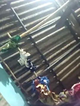 Blaxmi online show from January 19, 12:01 pm