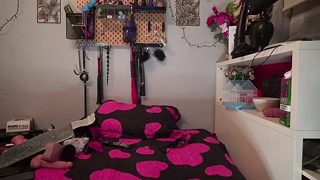 barbarah  online show from February 4, 8:50 am