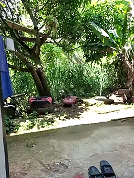 venusandzeusxh online show from April 28, 5:06 pm