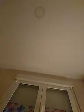 sofiabichota online show from February 2, 6:51 pm