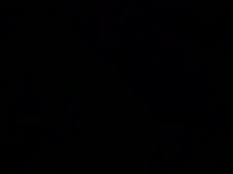 Your wild Dia online show from February 18, 5:28 am