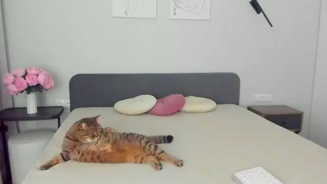 miss emily  online show from April 10, 11:22 pm