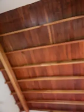 shannol ryan online show from February 18, 1:27 am