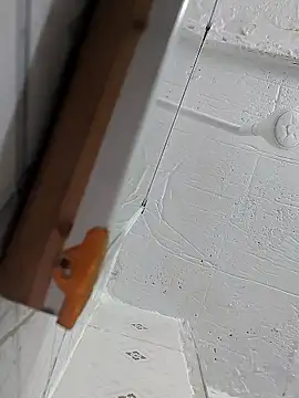 Hot bhabi desi online show from January 9, 1:32 am