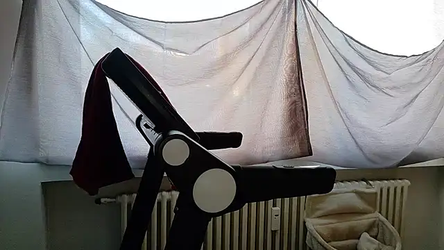 wetgerman 2 online show from November 23, 11:34 am