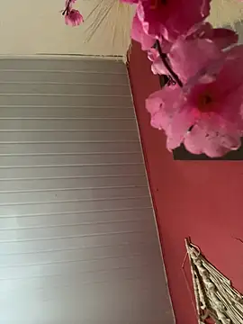 pimenta gaby online show from April 17, 3:36 pm