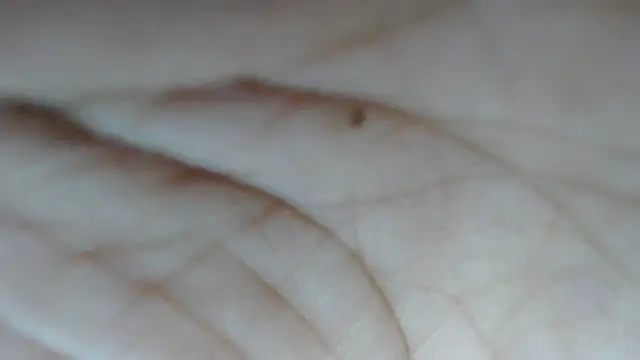 swt shadow online show from February 15, 8:08 pm