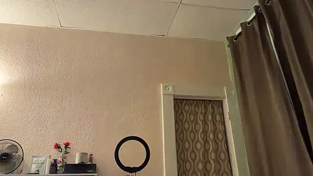 Pumpkin bunny online show from December 3, 12:35 am