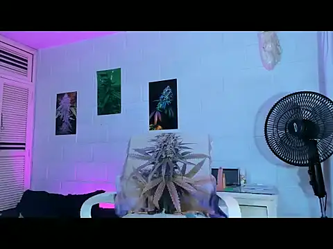 drippyorlovee online show from February 11, 7:59 pm