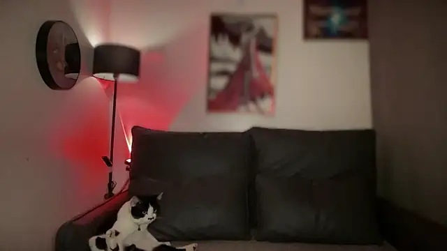 Thicker Belle online show from November 15, 8:10 pm