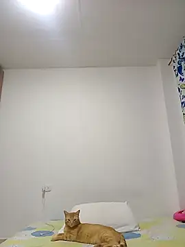 leah passion online show from January 31, 11:14 pm