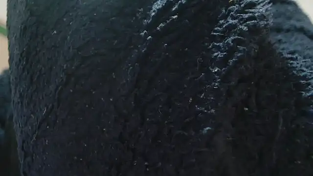 HAIRY PUSSY BIG online show from January 14, 9:09 pm