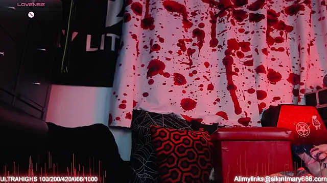 Silentmary online show from November 19, 2:44 am