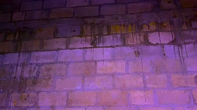 nzanizy online show from November 15, 8:43 pm